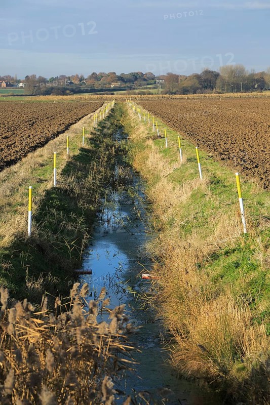 Arable fields and straight drainage ditch reclaimed marshland, Hollesley, Suffolk, England, United Kingdom, Europe