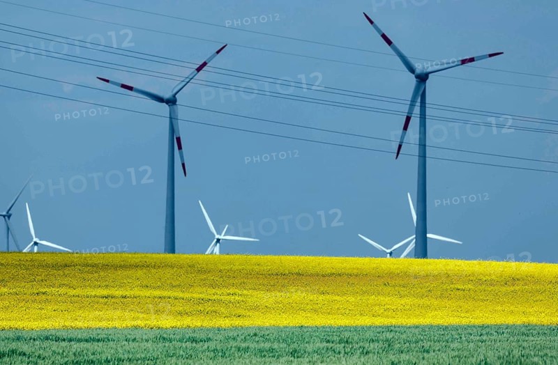 Wind farm with windmills and power lines, Nauen, 20/05/2022