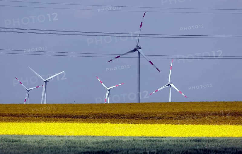 Wind farm with windmills and power lines, Nauen, 20/05/2022