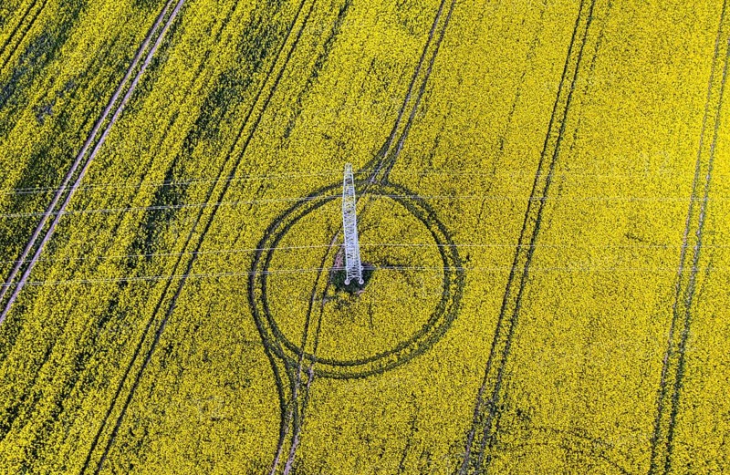 Aerial view of power line with power lines in a rapeseed field, Nauen, 20/05/2022