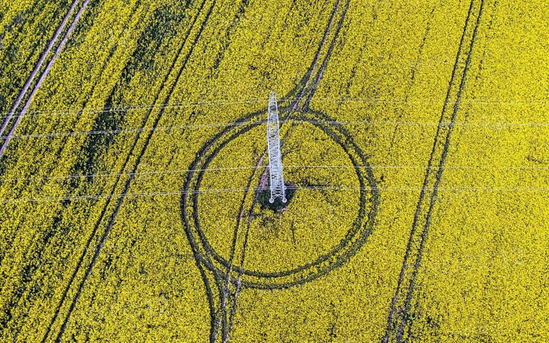 Aerial view of power line with power lines in a rapeseed field, Nauen, 20/05/2022