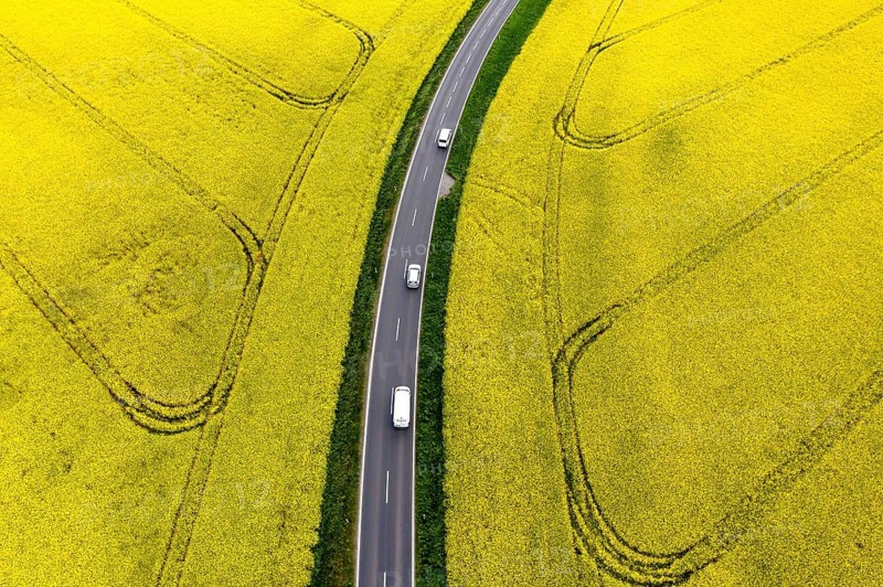 Road with cars next to rape fields, Nauen, 11.05.2022