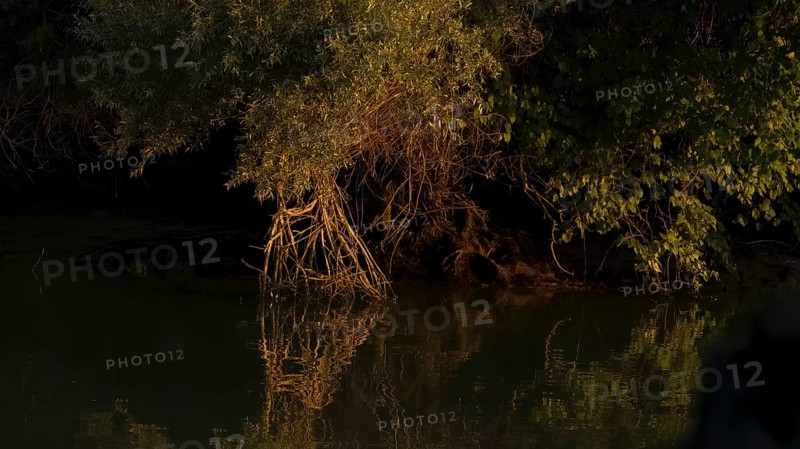 View from the canal morning light Danube Delta Romania