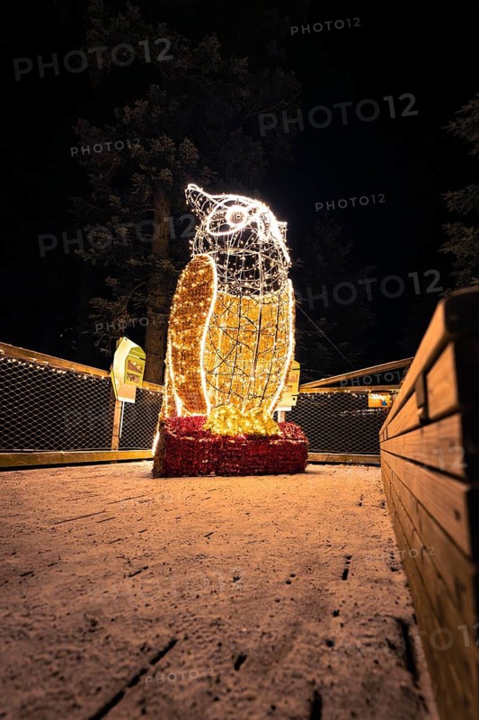 Shimmering light sculpture in the shape of a penguin at night, enchanting forest dwellers, treetop walk Bad Wildbad, Black Forest, Germany, Europe