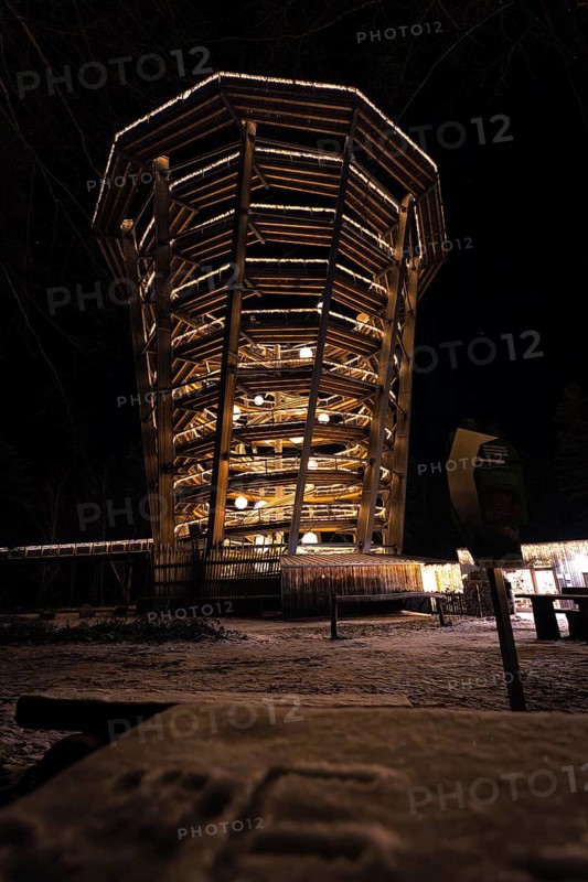 An observation tower illuminated at night from a low perspective, Enchanting forest dwellers, Treetop Walk Bad Wildbad, Black Forest, Germany, Europe