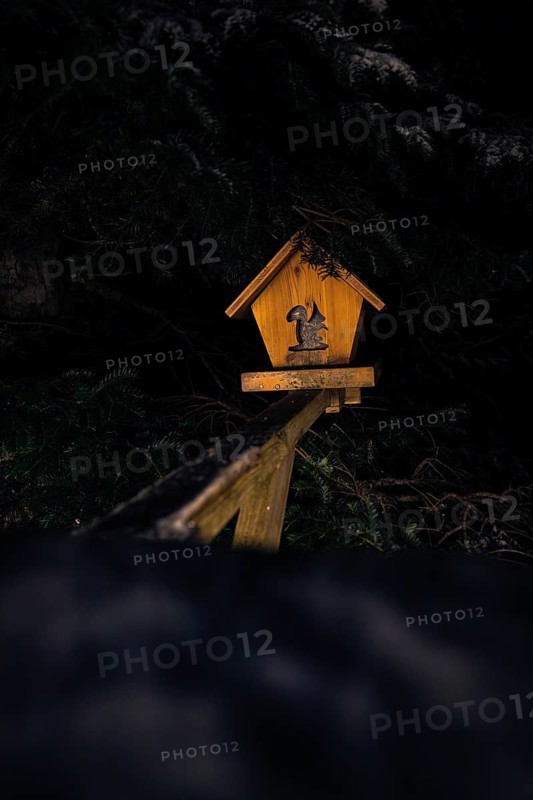 Single bird house illuminated in the dark, magical forest dwellers, treetop walk Bad Wildbad, Black Forest, Germany, Europe