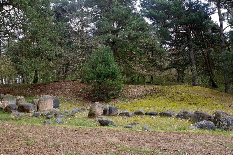 Parts of a Viking camp on the River Peene near Menzlin, Viking settlement known as the Old Camp, Viking stone circles, Peene Valley River Landscape nature park Park, Mecklenburg-Western Pomerania, Germany, Europe