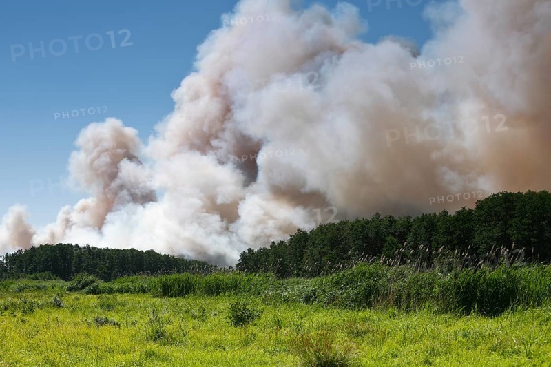 Fire in a 100-hectare grain field on the River Peene in summer, clouds of smoke from a field fire, Flusslandschaft Peenetal nature park Park, Mecklenburg-Western Pomerania, Germany, Europe