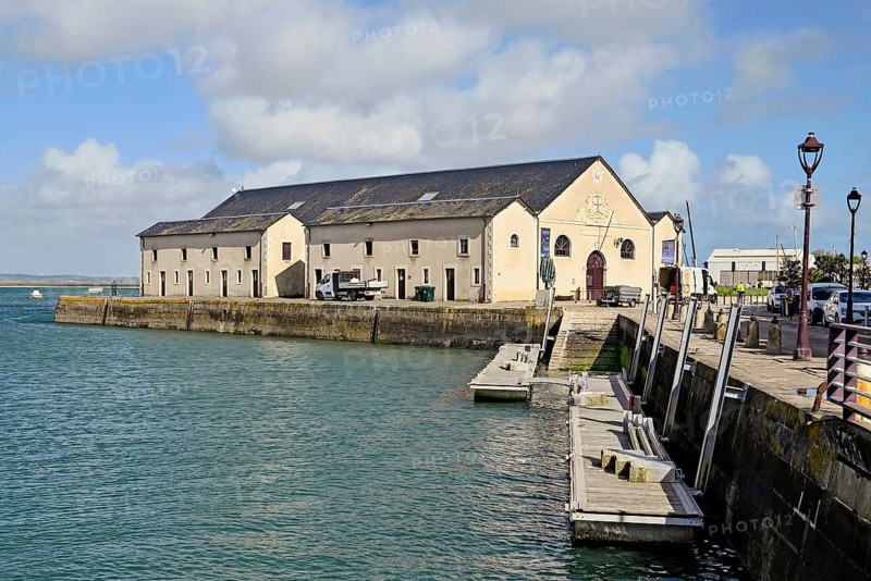 Harbour basin at the Old Fish Hall, Le Croisic, Loire-Atlantique, Pays de la Loire, France, Europe
