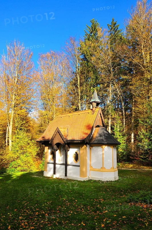 Hubertus Chapel in autumn-coloured forest near Oberschönenfeld in the Augsburg Western Forests nature park Park, Bavaria, Germany, Europe