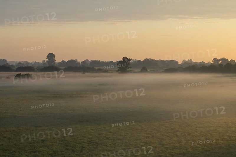 Morning atmosphere Donaumoos