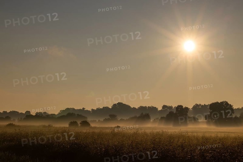 Morning atmosphere Donaumoos
