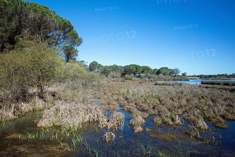 Coto Donana at El Roccio