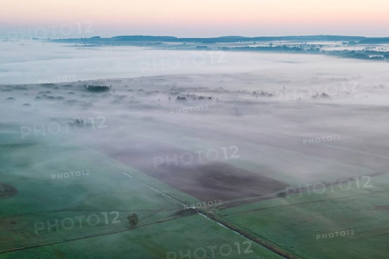 Morning atmosphere at Federsee lake