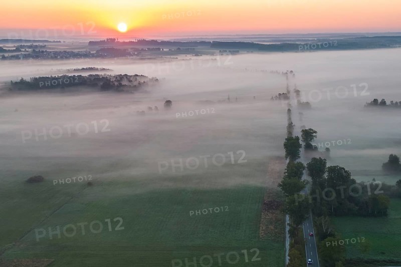 Morning atmosphere at Federsee lake