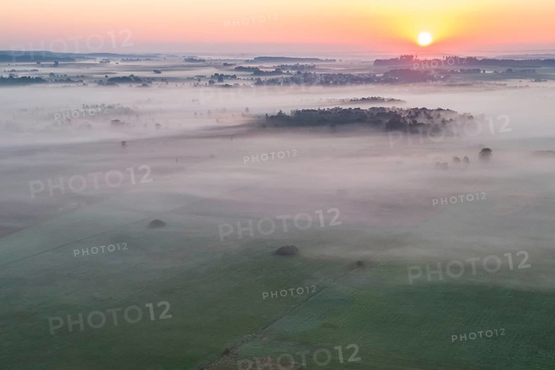 Morning atmosphere at Federsee lake