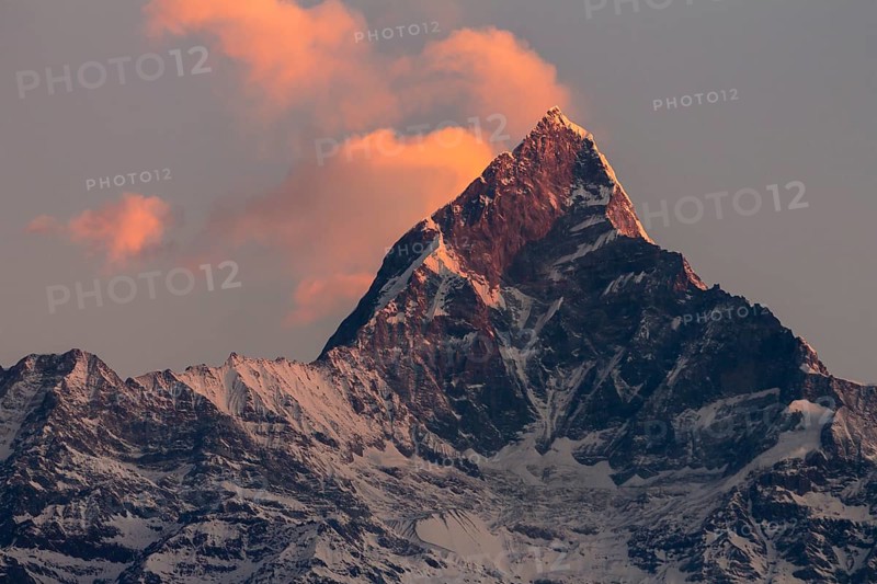 Machapuchare (6993m), Fishtail Mountain, the sacred peak in the Annapurna massif of the Himalayas, seen at sunrise, on a fairly clear, early-January, winter day. The local Gurung community consider it to be the residence of Shiva, the Hindu god. Photographed from Sarangkot, the popular viewpoint above Pokhara. Kaski District, Gandaki Province, Nepal, Asia