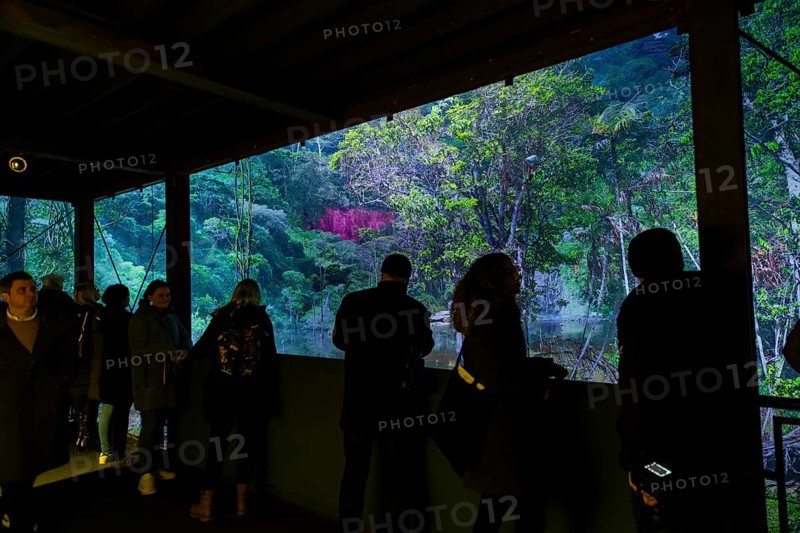 AMAZONIA - The Fascination of the Tropical Rainforest is a monumental work by Yadegar Asisi about the Brazilian rainforest. A natural panorama will be coming to Dresden for the first time from 27 January 2024. Immerse yourself in the exotic world of the Amazon and discover a nature that could not be more beguiling and yet is often unknown, Dresden, Saxony, Germany, Europe