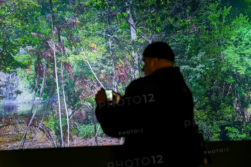 AMAZONIA - The Fascination of the Tropical Rainforest is a monumental work by Yadegar Asisi about the Brazilian rainforest. A natural panorama will be coming to Dresden for the first time from 27 January 2024. Immerse yourself in the exotic world of the Amazon and discover a nature that could not be more beguiling and yet is often unknown, Dresden, Saxony, Germany, Europe