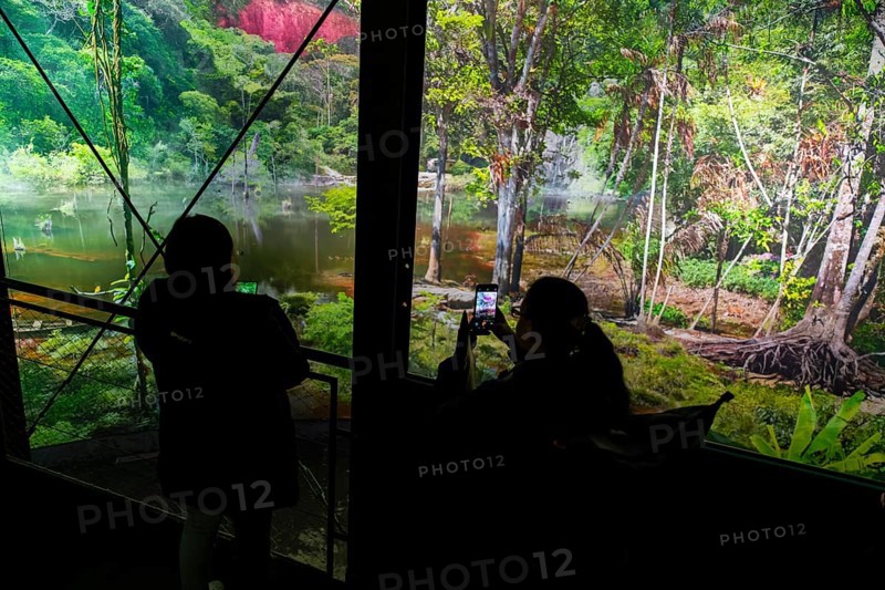 AMAZONIA - The Fascination of the Tropical Rainforest is a monumental work by Yadegar Asisi about the Brazilian rainforest. A natural panorama will be coming to Dresden for the first time from 27 January 2024. Immerse yourself in the exotic world of the Amazon and discover a nature that could not be more beguiling and yet is often unknown, Dresden, Saxony, Germany, Europe