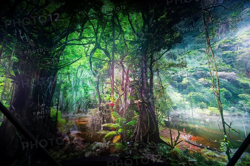 AMAZONIA - The Fascination of the Tropical Rainforest is a monumental work by Yadegar Asisi about the Brazilian rainforest. A natural panorama will be coming to Dresden for the first time from 27 January 2024. Immerse yourself in the exotic world of the Amazon and discover a nature that could not be more beguiling and yet is often unknown, Dresden, Saxony, Germany, Europe