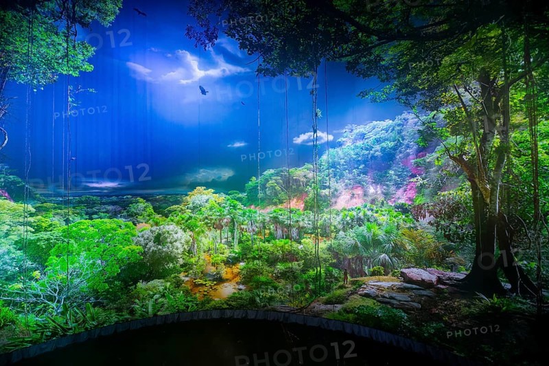 AMAZONIA - The Fascination of the Tropical Rainforest is a monumental work by Yadegar Asisi about the Brazilian rainforest. A natural panorama will be coming to Dresden for the first time from 27 January 2024. Immerse yourself in the exotic world of the Amazon and discover a nature that could not be more beguiling and yet is often unknown, Dresden, Saxony, Germany, Europe