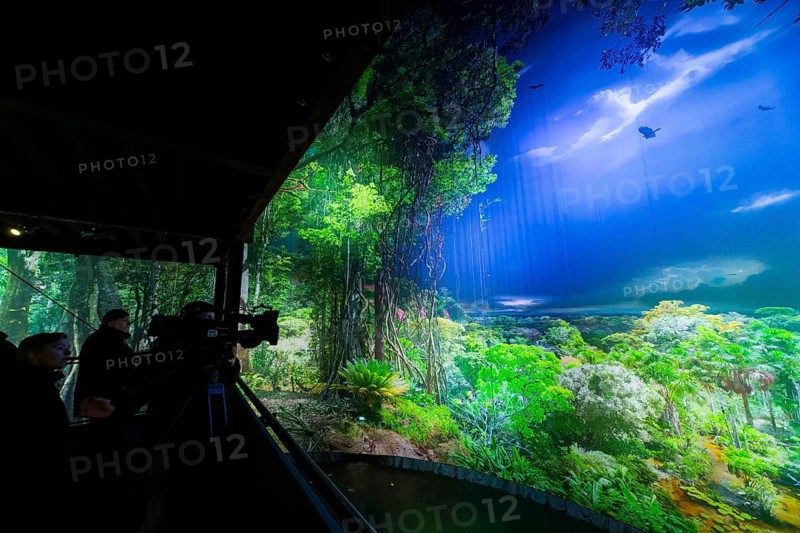 AMAZONIA - The Fascination of the Tropical Rainforest is a monumental work by Yadegar Asisi about the Brazilian rainforest. A natural panorama will be coming to Dresden for the first time from 27 January 2024. Immerse yourself in the exotic world of the Amazon and discover a nature that could not be more beguiling and yet is often unknown, Dresden, Saxony, Germany, Europe