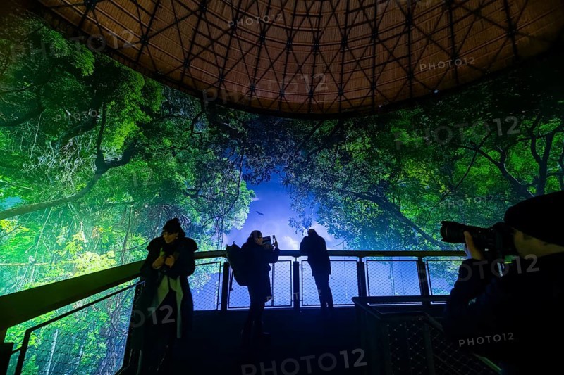 AMAZONIA - The Fascination of the Tropical Rainforest is a monumental work by Yadegar Asisi about the Brazilian rainforest. A natural panorama will be coming to Dresden for the first time from 27 January 2024. Immerse yourself in the exotic world of the Amazon and discover a nature that could not be more beguiling and yet is often unknown, Dresden, Saxony, Germany, Europe