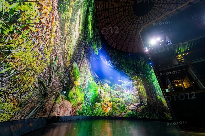 AMAZONIA - The Fascination of the Tropical Rainforest is a monumental work by Yadegar Asisi about the Brazilian rainforest. A natural panorama will be coming to Dresden for the first time from 27 January 2024. Immerse yourself in the exotic world of the Amazon and discover a nature that could not be more beguiling and yet is often unknown, Dresden, Saxony, Germany, Europe