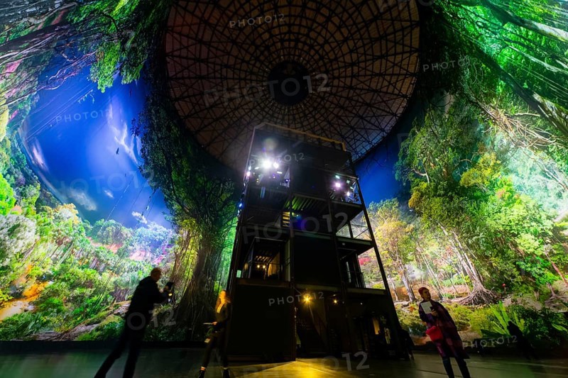 AMAZONIA - The Fascination of the Tropical Rainforest is a monumental work by Yadegar Asisi about the Brazilian rainforest. A natural panorama will be coming to Dresden for the first time from 27 January 2024. Immerse yourself in the exotic world of the Amazon and discover a nature that could not be more beguiling and yet is often unknown, Dresden, Saxony, Germany, Europe