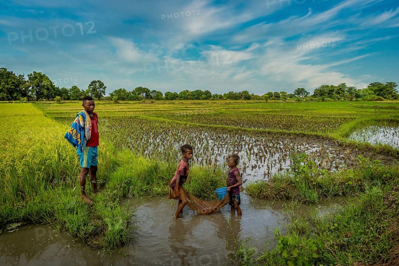 Family fishing in a rice field in western Madagascar