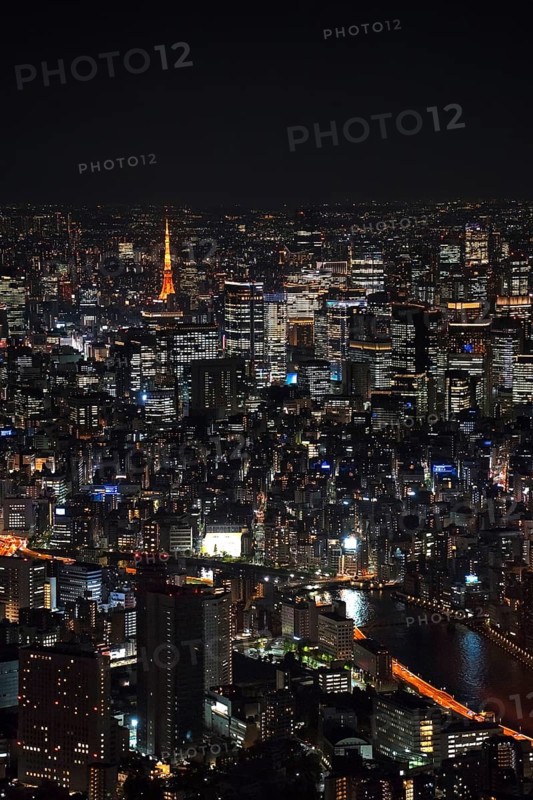 Aerial view over the city Tokyo Metropolis with its high rise, buildings, skyscrapers, Sumida River and Tokyo Tower illuminated at night, Japan, Asia