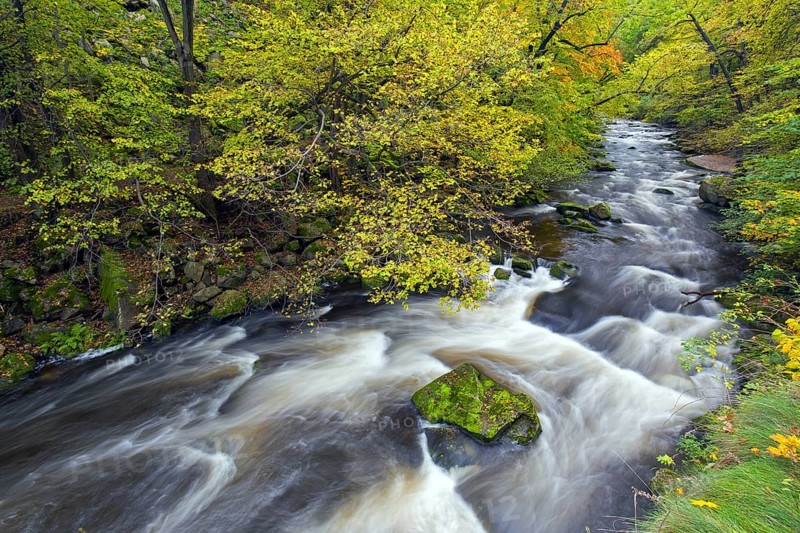 River Bode running through forest showing autumn colours, fall colors at Nature reserve Bode Valley in the Harz Mountains, Saxony-Anhalt, Germany, Europe