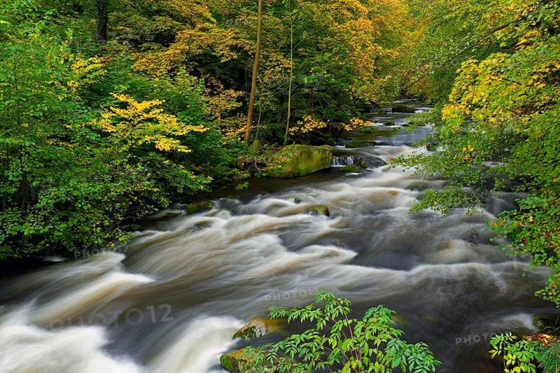 River Bode running through forest showing autumn colours, fall colors at Nature reserve Bode Valley in the Harz Mountains, Saxony-Anhalt, Germany, Europe