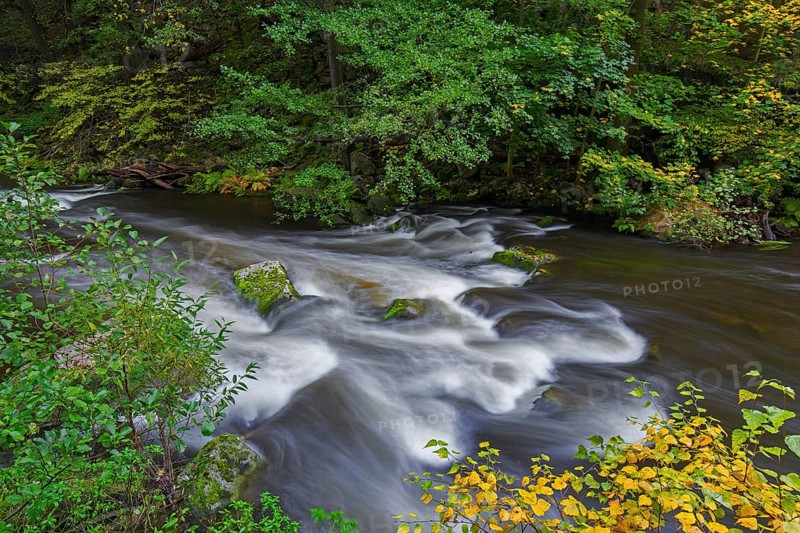 River Bode running through forest showing autumn colours, fall colors at Nature reserve Bode Valley in the Harz Mountains, Saxony-Anhalt, Germany, Europe