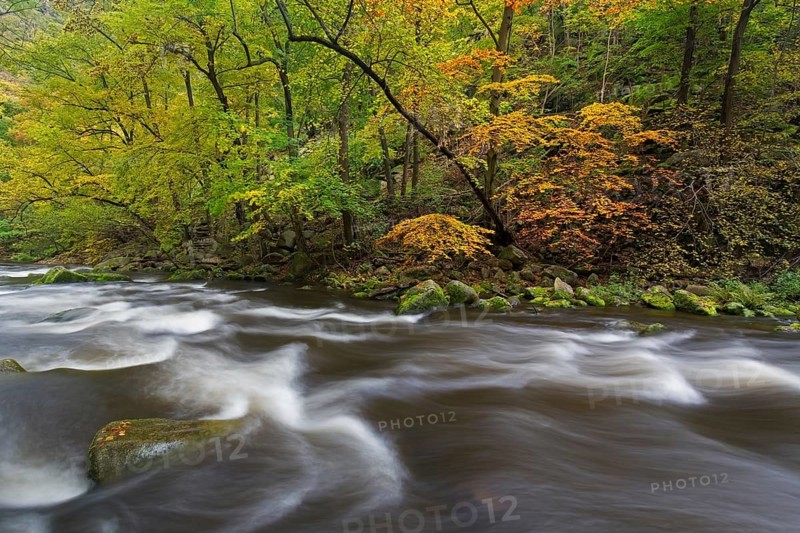 River Bode running through forest showing autumn colours, fall colors at Nature reserve Bode Valley in the Harz Mountains, Saxony-Anhalt, Germany, Europe