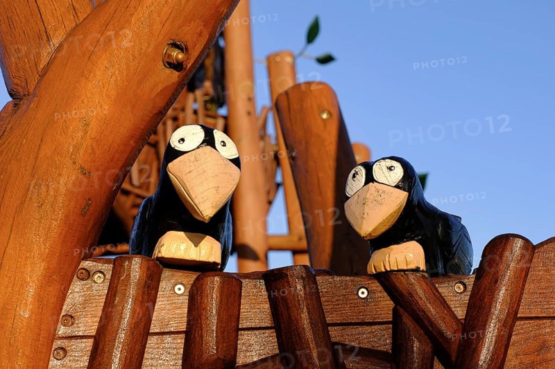 Wooden figure of two ravens, North Rhine-Westphalia, Germany, Europe
