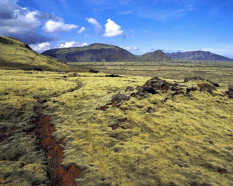 Path through deep yellow-green moss in red volcanic soil, leading towards distant hills, near Reykjavik, Iceland, Europe
