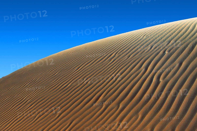 Sand-dunes in the desert of Oman near the border with Saudi Arabia. Sanddünen in Oman, Saudi Arabien