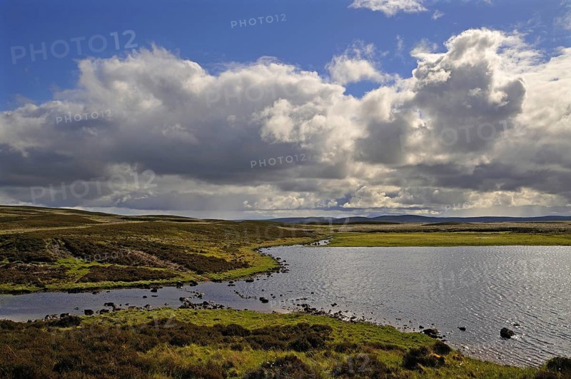 Felsen und Steine am Loch Farley | Exposed rocks and stones at Loch Farlary, near Golspie, Sutherland, Scotland, UK