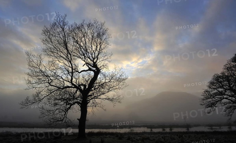 Hazy view of a distant hill as late sun shines through silhouetted trees on a winter afternoon near Killin, Perthshire, Scotland, UK