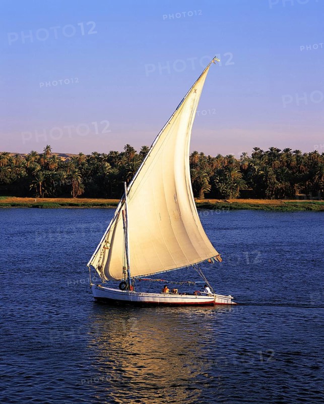 The traditional Nile sailing-boat, the felucca, sailing on the Nile near Luxor, Egypt, Africa