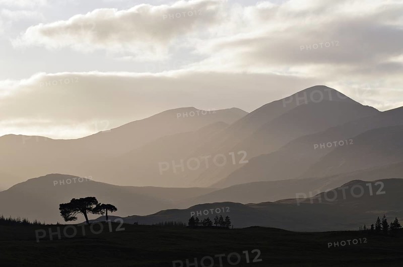 Backlit trees and hill-ridges around the western rim of Rannoch Moor, Scottish Highlands, UK