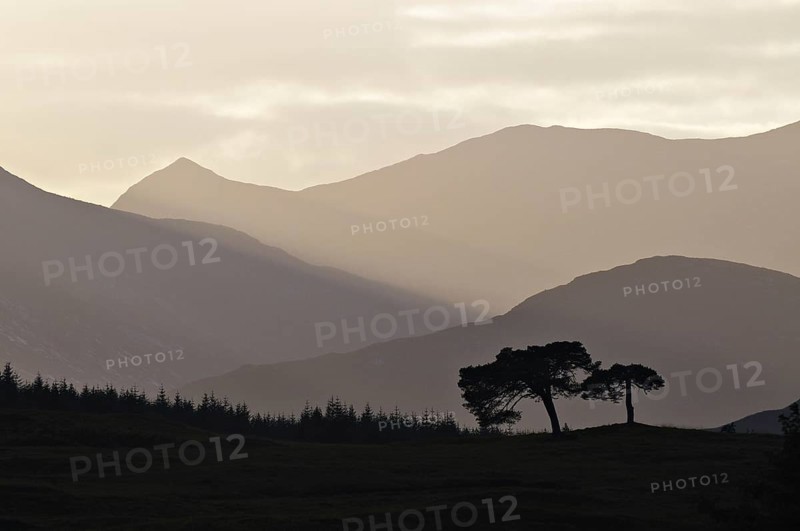 Backlit trees and hill-ridges around the western rim of Rannoch Moor, Scottish Highlands, UK