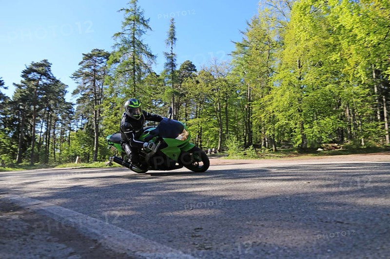 Sporty motorcyclist on a trip into the countryside (Edenkoben Valley, Palatinate Forest)