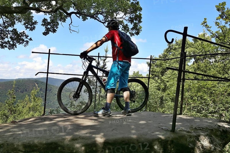 Mountain biker enjoys the view of the Palatinate Forest above Neustadt an der Weinstrasse