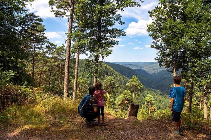 Father with his children hiking in the Palatinate Forest