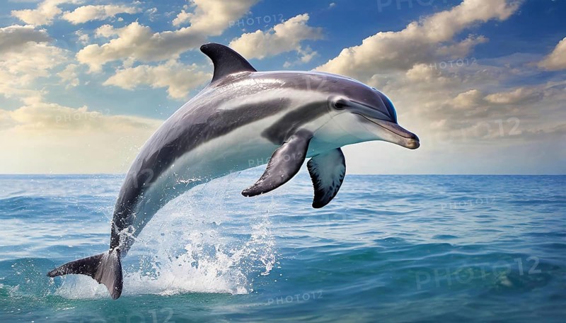 Ai generated, animal, animals, mammal, mammals, biotope, habitat, one, individual, foraging, wildlife, dolphin, elfine, dolphin, dolphins (Delphinidae) (Delphinus delphis), sideways