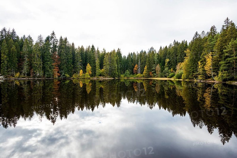 Lake and autumn forest, Mathisleweiher, near Hinterzarten, Black Forest, Baden-Wuerttemberg, Germany, Europe
