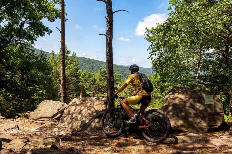 Mountain biker takes a break at the summit of the Nollenkopf near Neustadt in the Palatinate Forest